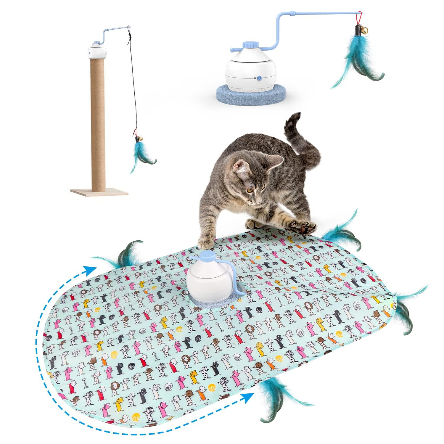 Smart Accessories That Enhance Your Cat's Lifestyle