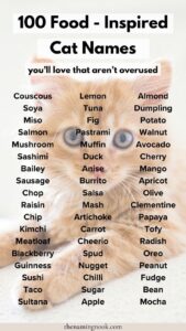 Are you a proud cat owner searching for the purr-fect name for your feline friend? Why not get inspired by delicious foods? From sweet treats to savory delights, choosing a food-inspired name can be both fun and unique. In this blog post, we’ll provide yo