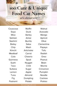 Are you a foodie and a cat lover looking for the purr-fect name for your feline friend? Well, you’re in luck because we have a list of adorable cat names inspired by delicious foods. From sweet treats to savory delights, these names will surely make your