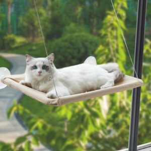 If you’re a cat owner, you know how much our feline friends love to perch themselves by the window, basking in the sunlight or watching the world go by. Creating a cozy cat window perch can be a great way to provide your cat with a comfortable space to re